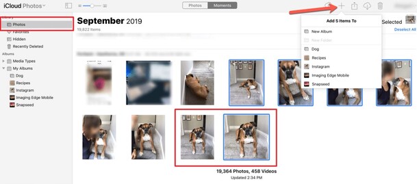select photos and recover them