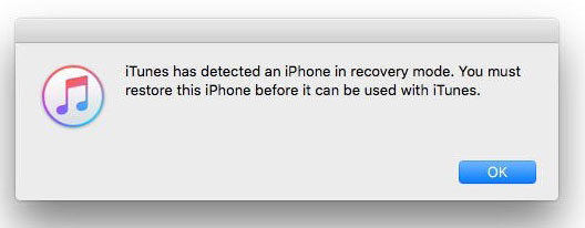 iphone is stuck on loading screen - recovery mode detected